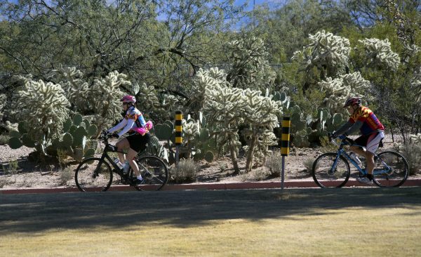 Park Profile: Morris K. Udall Park | TucsonTopia