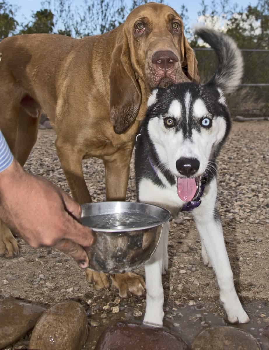 Park Profile Morris K. Udall Park TucsonTopia