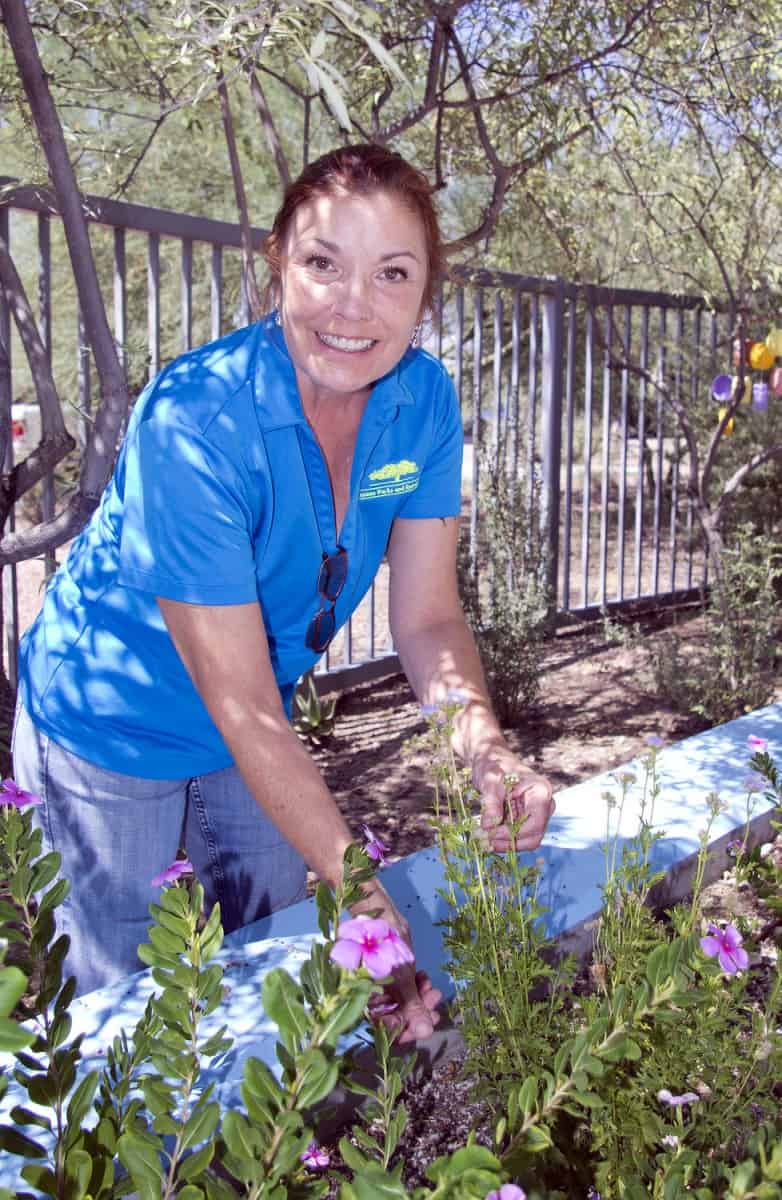 Park Profile Morris K. Udall Park TucsonTopia