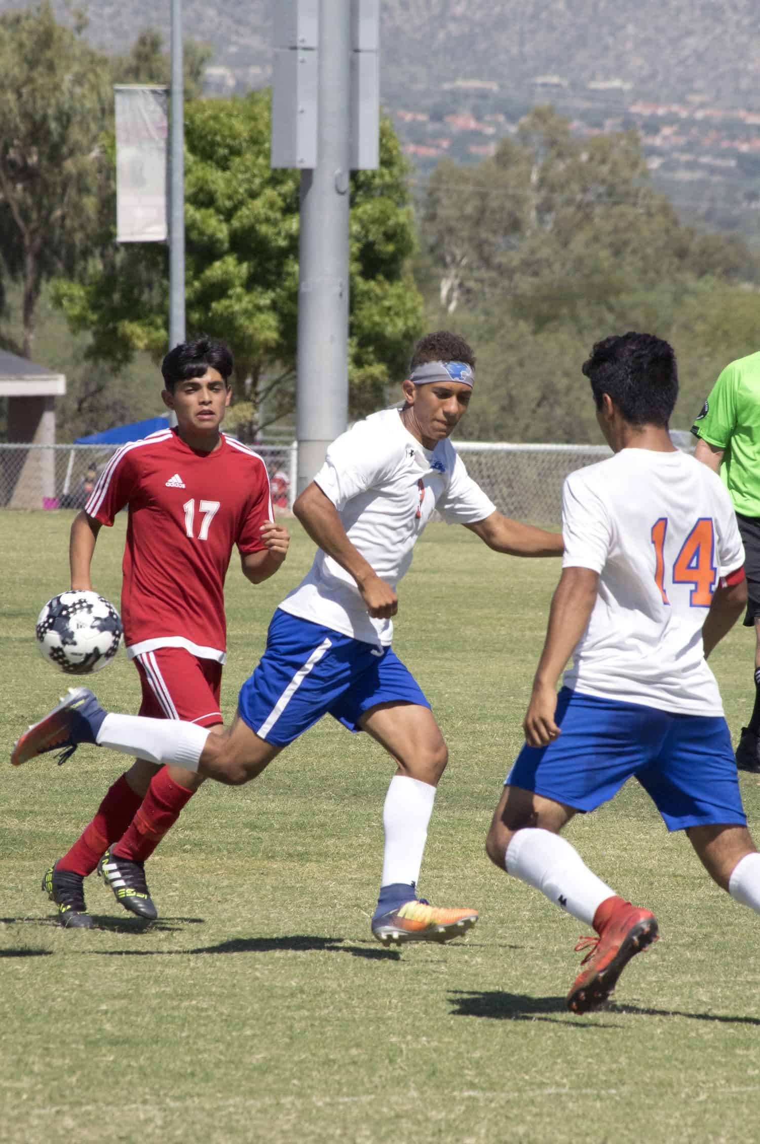 Park Profile Morris K. Udall Park TucsonTopia