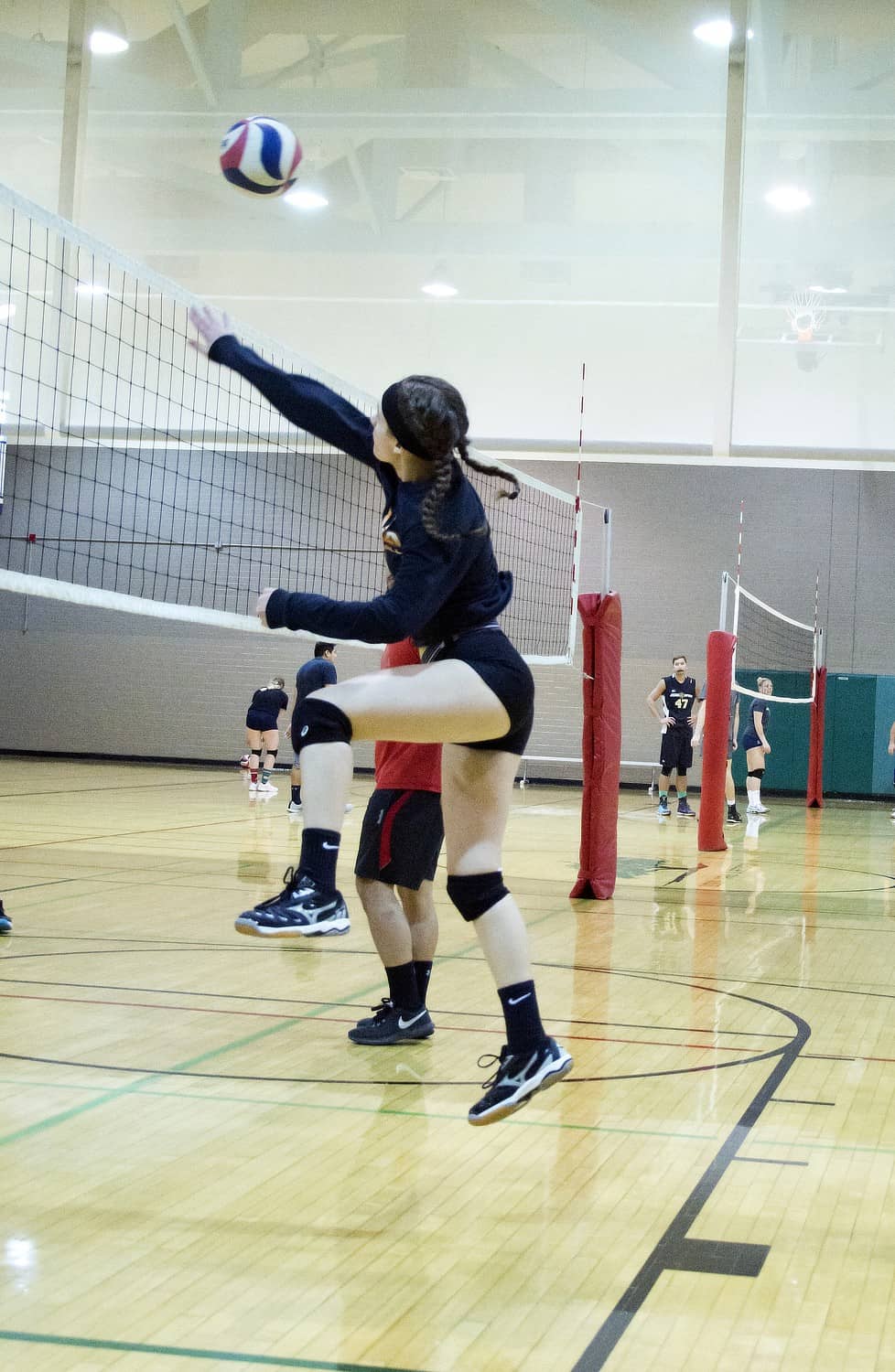 Park Profile Morris K. Udall Park TucsonTopia