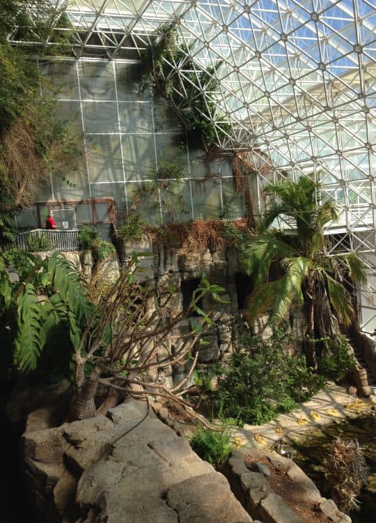 biome tour Biosphere 2 | Ultimate Guide to Biosphere 2