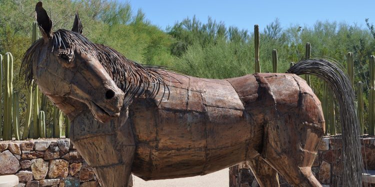 Guide to Tohono Chul | TucsonTopia