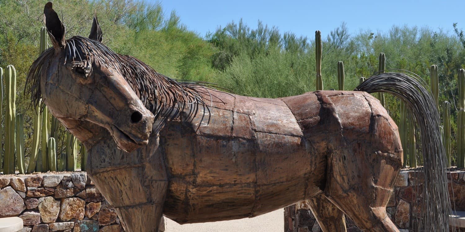 metal horse Tohono Chul Garden Tucson