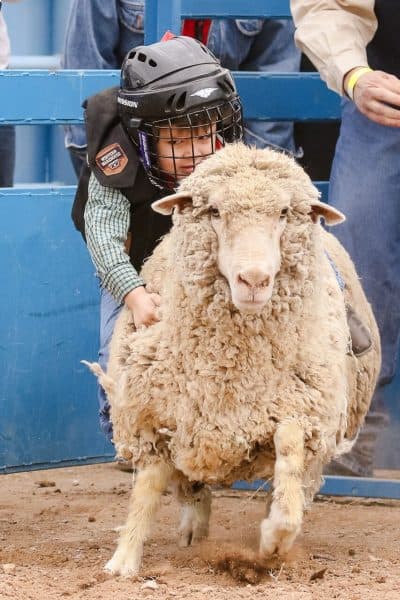 Tucson Junior Rodeo | Tucson Rodeo Guide - Tickets, Parking, Barn Dances, Parade