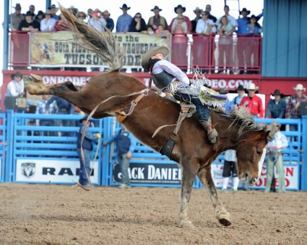 Tucson Rodeo Bareback Riding Caleb Bennett | Tucson Rodeo Guide - Tickets, Parking, Barn Dances, Parade
