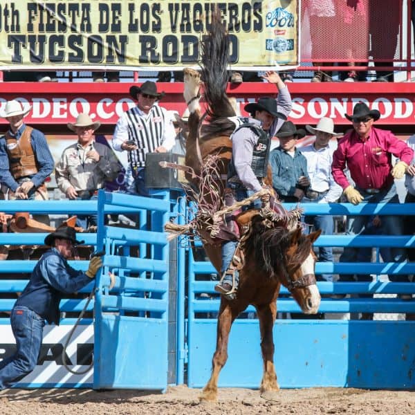 Tucson Rodeo Bareback Riding Zeke Thurston | Tucson Rodeo Guide - Tickets, Parking, Barn Dances, Parade