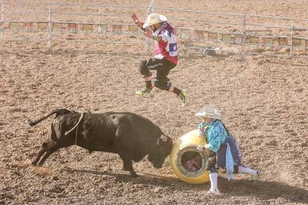 Tucson Rodeo Bull Fighting | Tucson Rodeo Guide - Tickets, Parking, Barn Dances, Parade