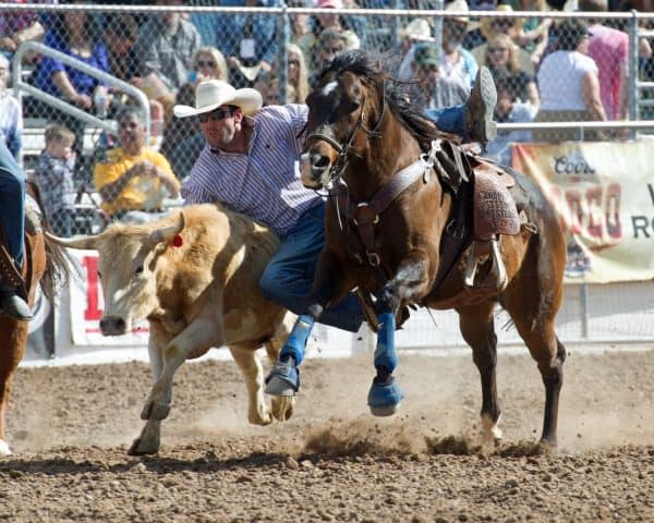 Tucson Rodeo Cowboy Cody Cabral | Tucson Rodeo Guide - Tickets, Parking, Barn Dances, Parade