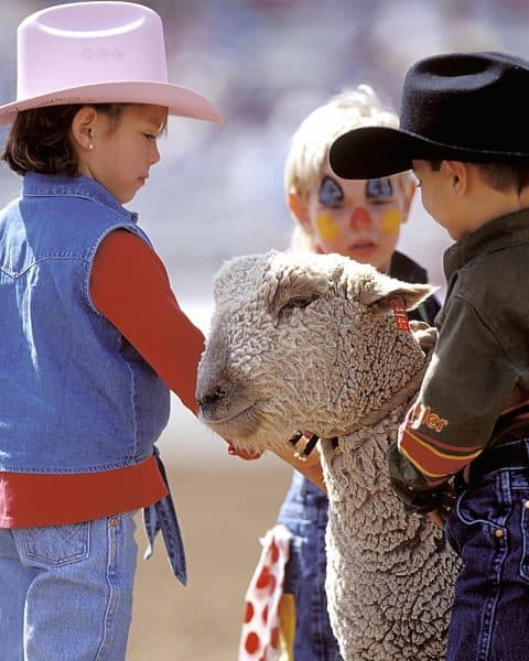 Tucson Rodeo Mutton Busting | Tucson Rodeo Guide - Tickets, Parking, Barn Dances, Parade