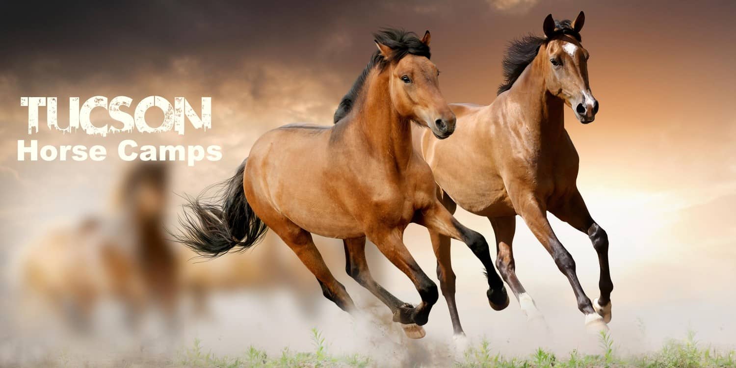 Horse Camps Tucson | Horse Camps in Tucson - Summer 2023