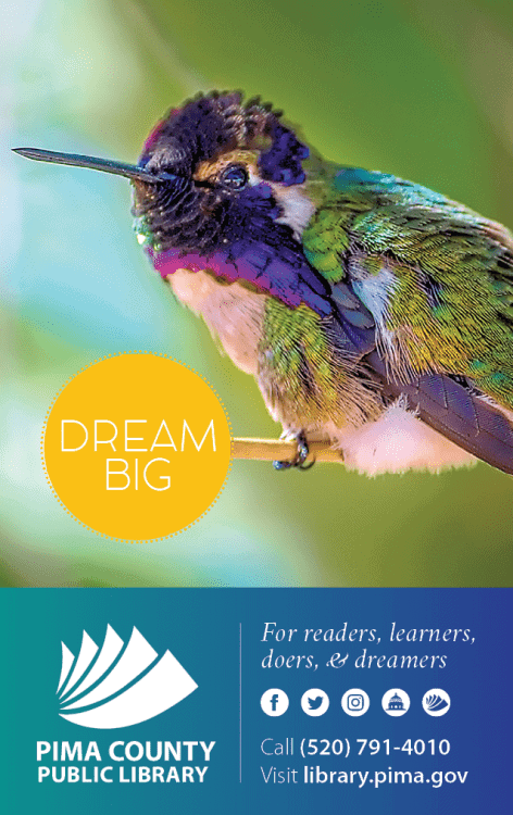 Pima County Public Library Card Hummingbird Dream Big | How to Get a Library Card in Tucson