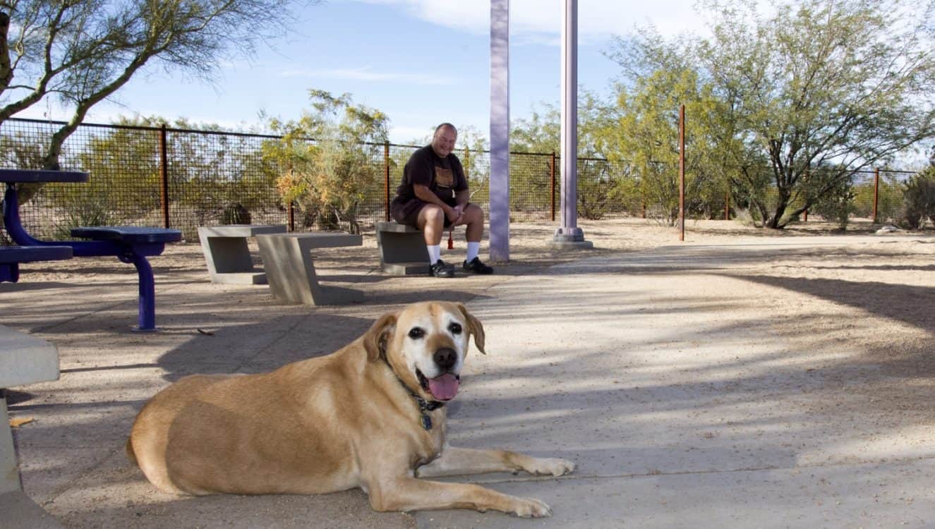 off leash dog Purple Heart Park | Park Profile: Purple Heart Park