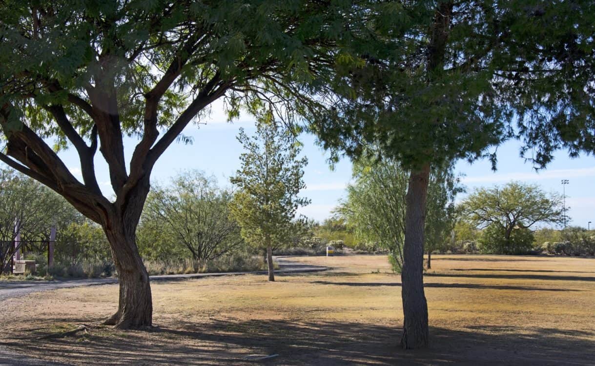 trees grass Purple Heart Park | Park Profile: Purple Heart Park