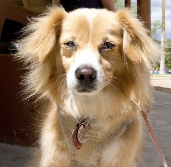 Park Profile La Madera Park TucsonTopia