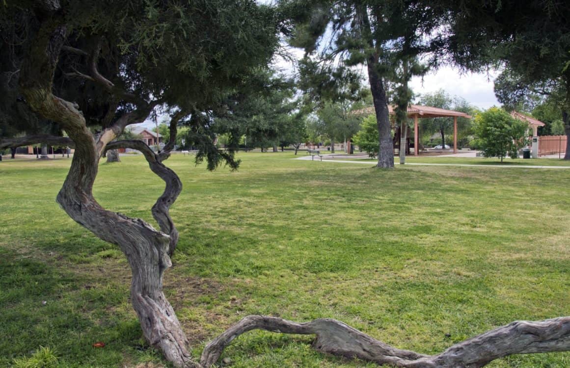 trees grass Catalina Park Tucson | Guide to Catalina Park - Parking, Hours, Parties