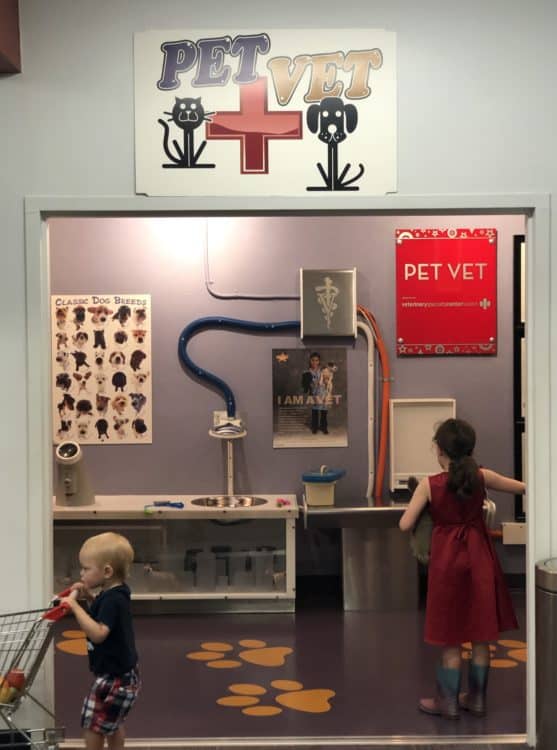 pet vet Childrens Museum Tucson | Children's Museum Tucson - Attraction Guide