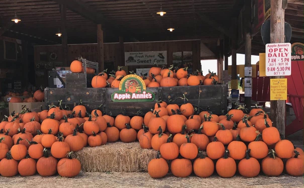 Apple Annies Willcox | Apple Annie's - Attraction Guide