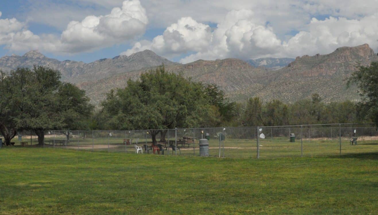 mountains grass McDonald Park Tucson