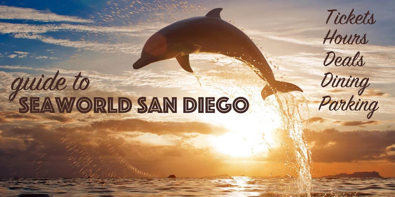 SeaWorld San Diego Guide