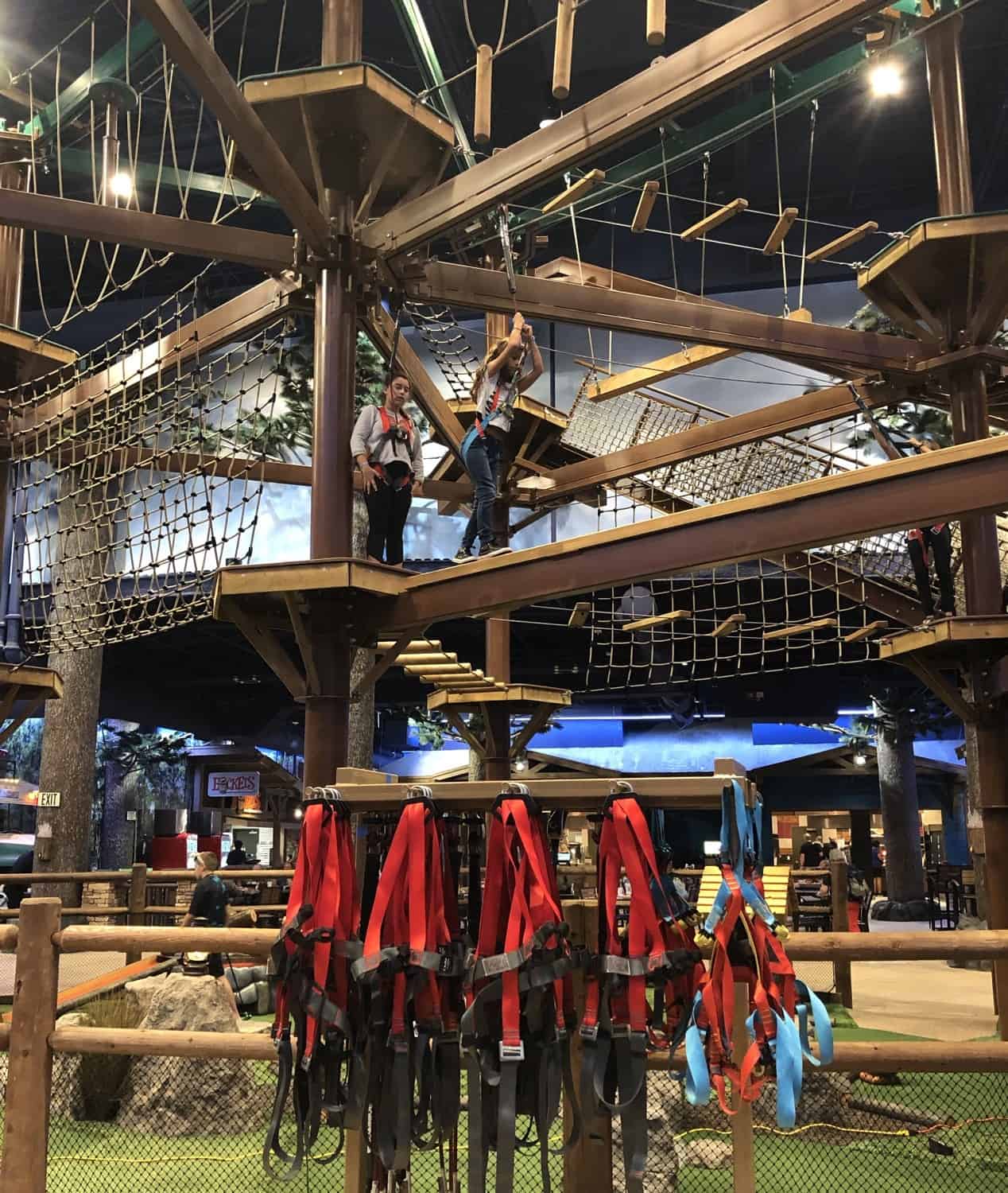 Climbing Harnesses Howlers Peak Ropes Course Great Wolf Lodge Arizona