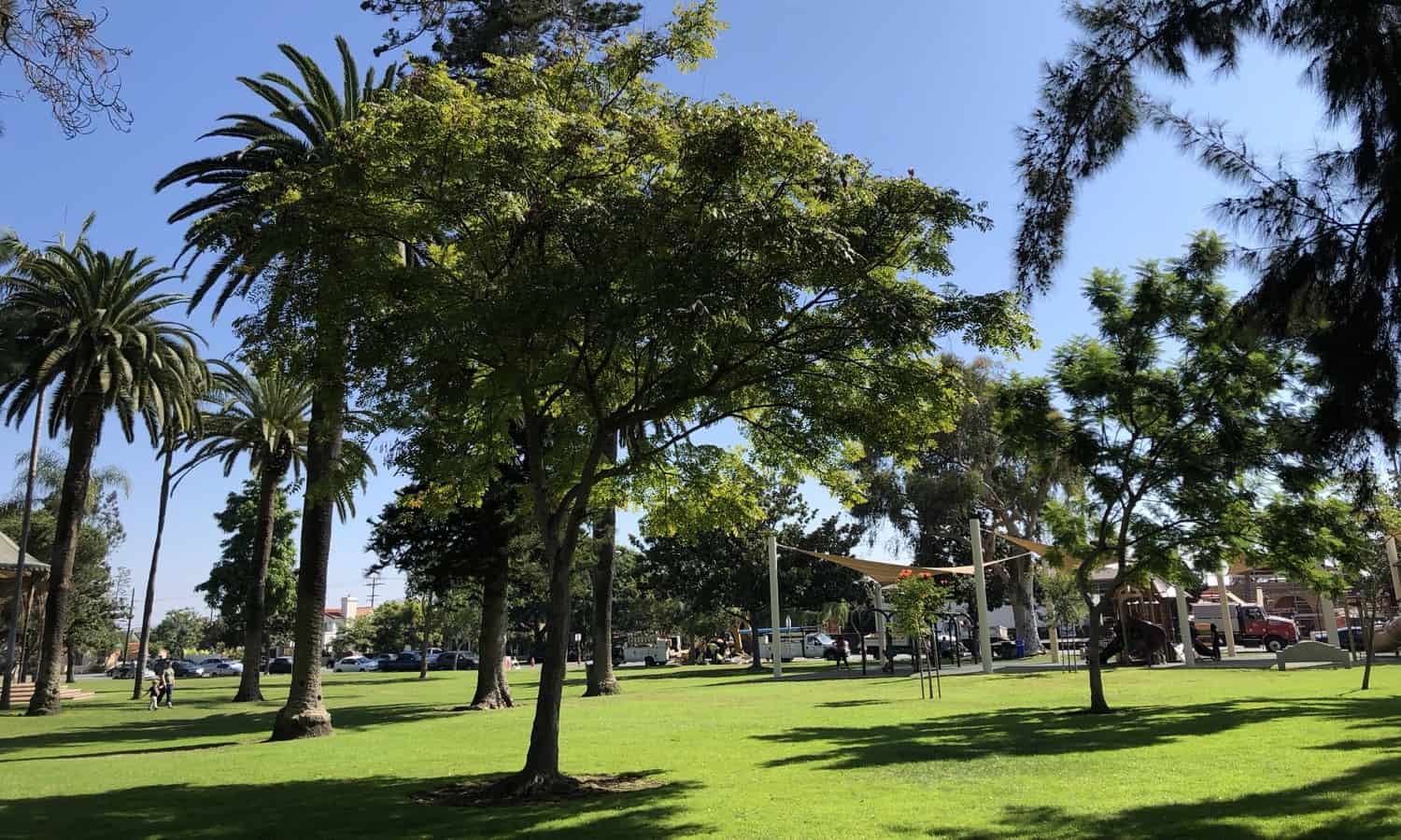 Road Trip Tucson to Coronado Island TucsonTopia