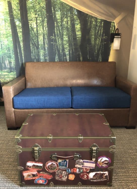 Standard Family Suite Full Size Sofa Sleeper Great Wolf Lodge Arizona