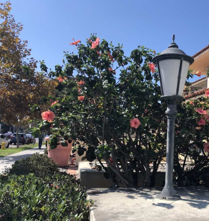 lamp post Orange Avenue Coronado Library