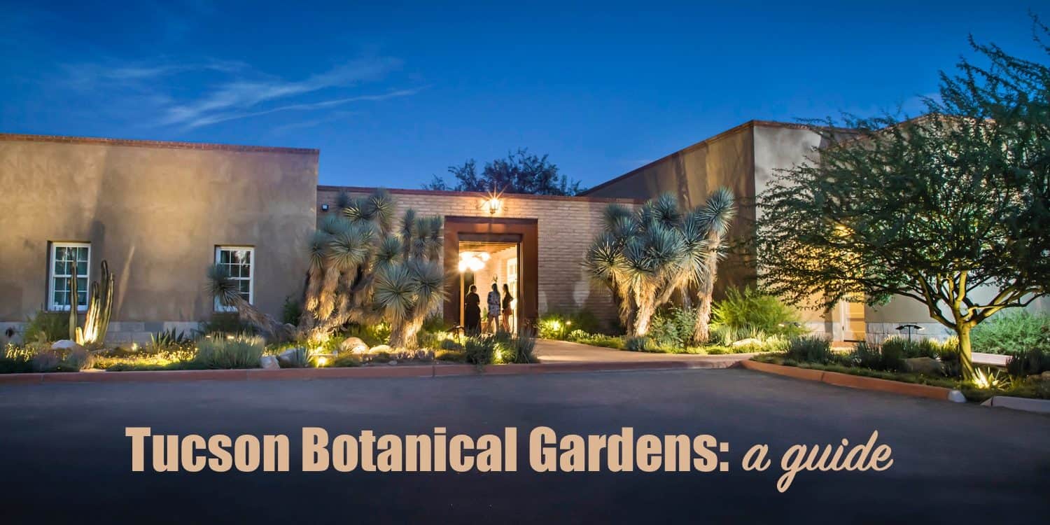Tucson Botanical Gardens Guide