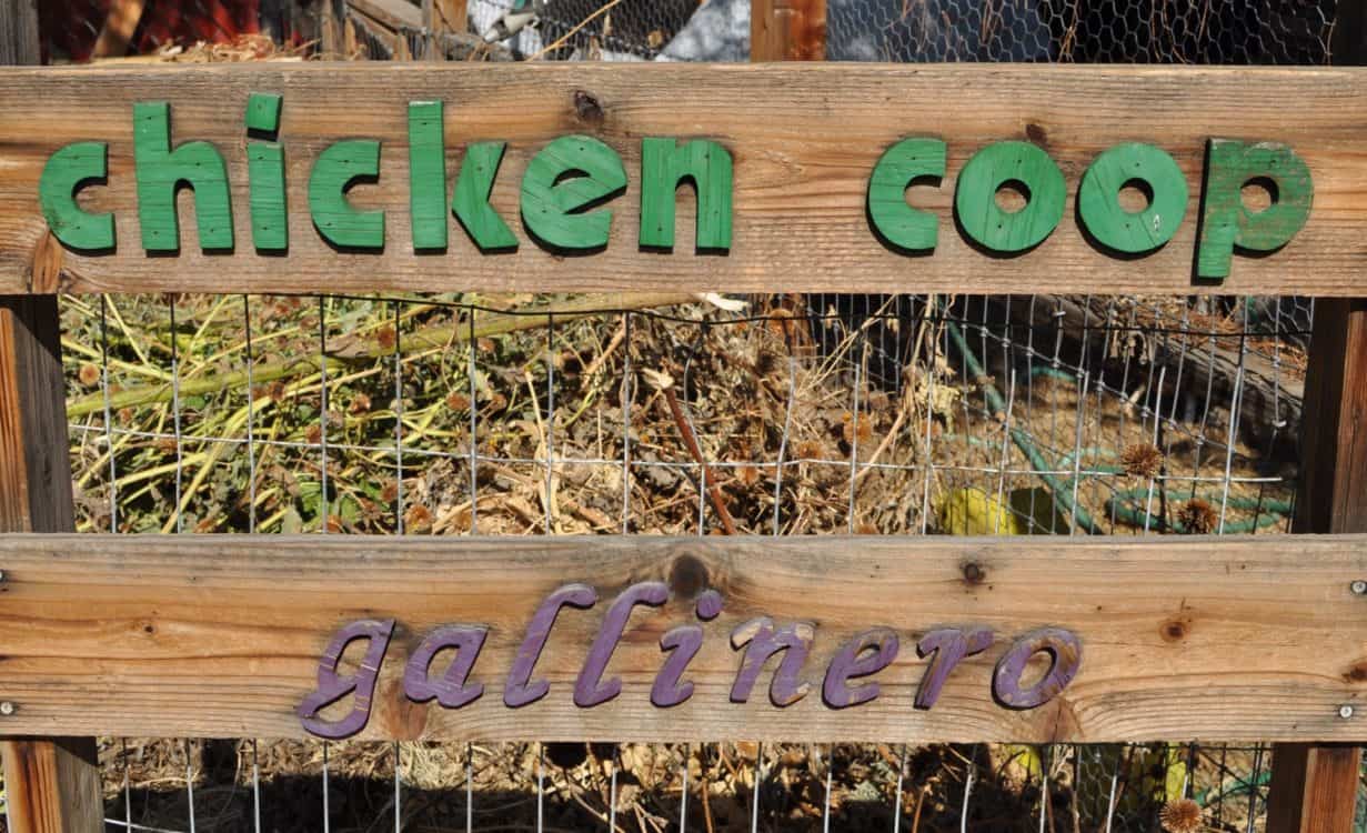 chicken coop gallinero Community Food Bank Southern Arizona | Volunteer in Tucson: Community Food Bank of Southern Arizona