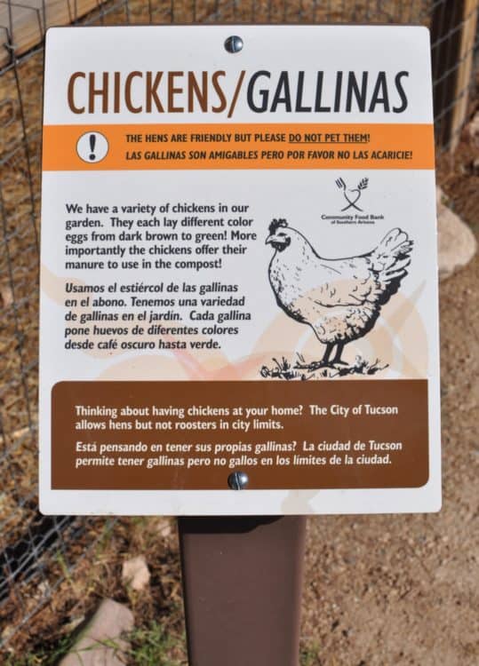 chickens Community Food Bank Southern Arizona | Volunteer in Tucson: Community Food Bank of Southern Arizona