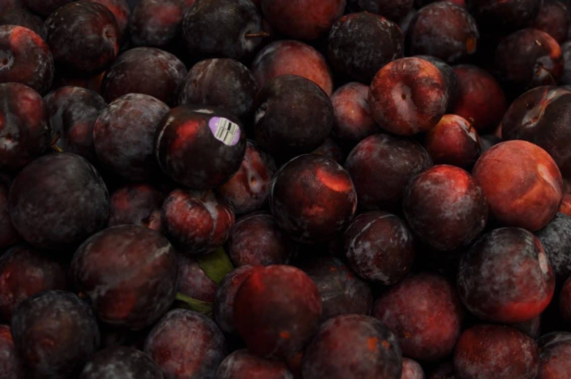 Volunteer In Tucson Community Food Bank Of Southern Arizona