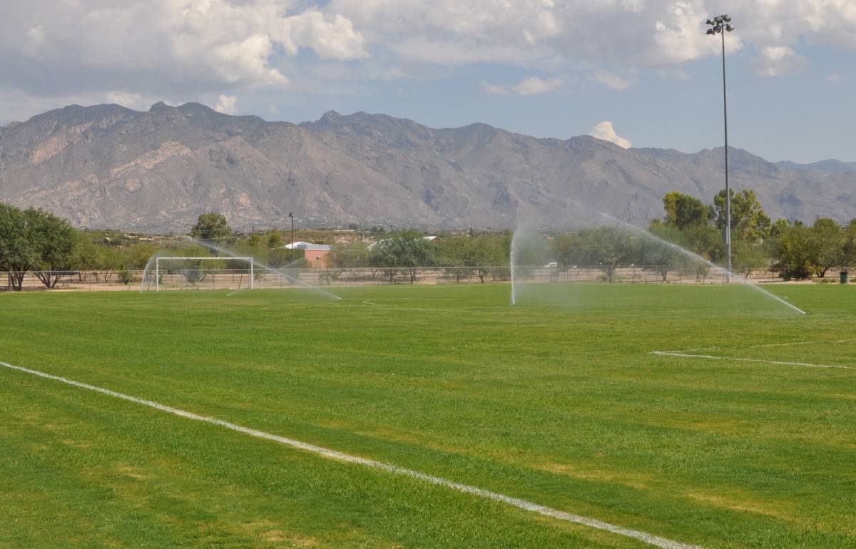 Park Profile Brandi Fenton Memorial Park TucsonTopia