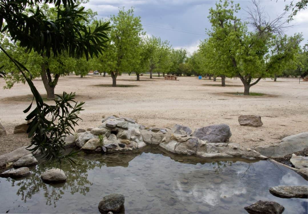 water stones pecan trees Fort Lowell Park | Park Profile: Fort Lowell Park