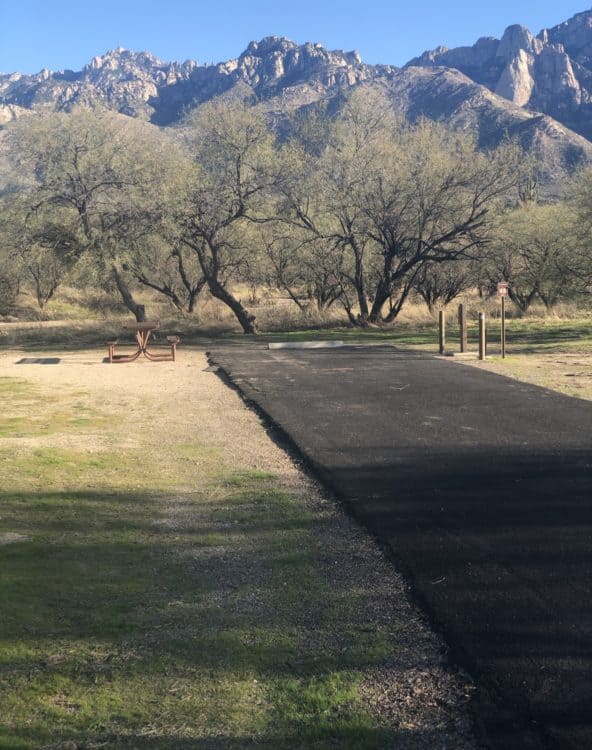Camping Paved Catalina State Park | Catalina State Park: A Guide