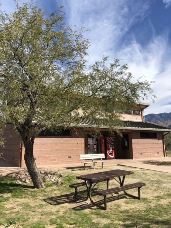 Catalina State Park restrooms campground | Catalina State Park: A Guide