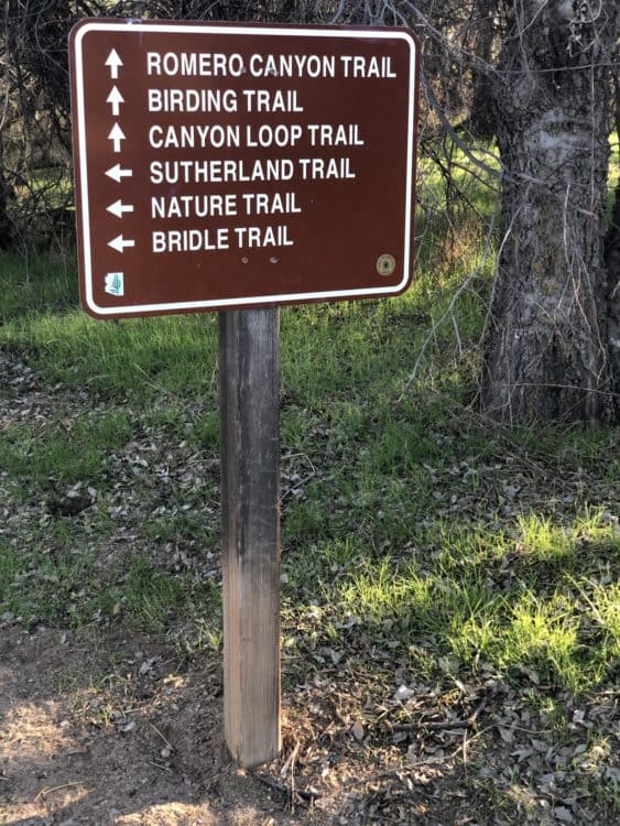 Hiking Trails Catalina State Park | Catalina State Park: A Guide