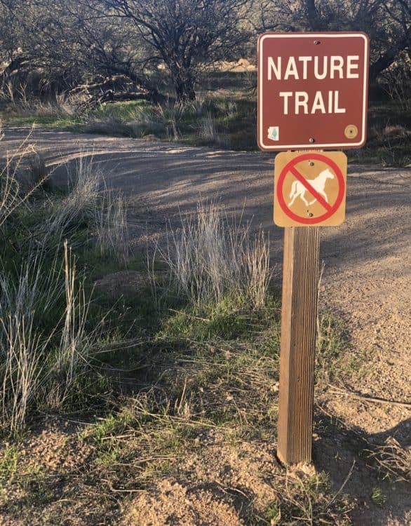 Nature Trail Catalina State Park | Catalina State Park: Hiking & Camping Guide