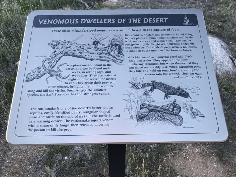 Venomous Desert educational sign Catalina State Park | Catalina State Park: Hiking & Camping Guide