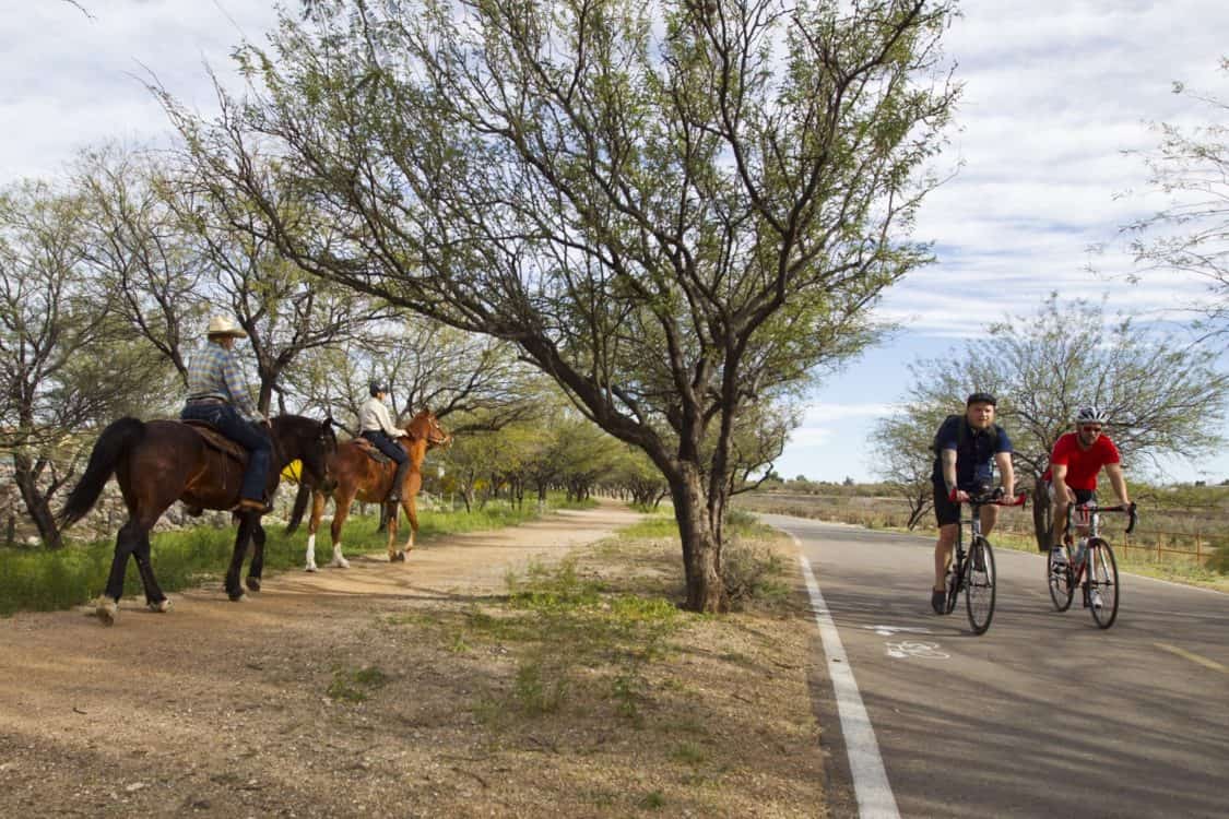bicyclists horseback riding Chuck Huckelberry Loops Tucson | Chuck Huckelberry Loop: A Guide
