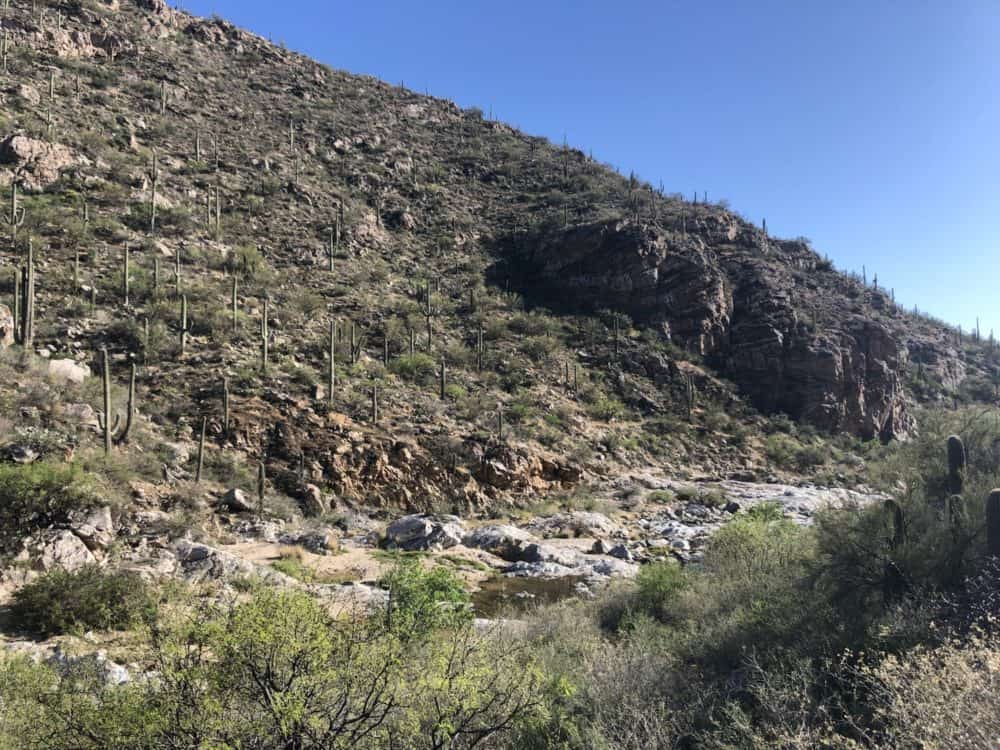 cactus-mountain-rocks-Tanque-Verde-Falls-hike