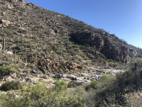 cactus mountain rocks Tanque Verde Falls hike | Tanque Verde Falls: A Hiking Guide