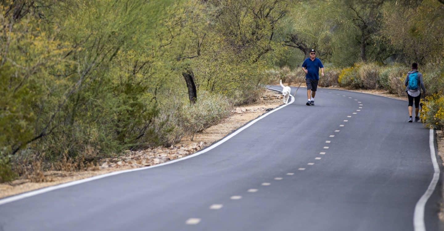 dogs Chuck Huckelberry Loop Tucson | Chuck Huckelberry Loop: A Guide