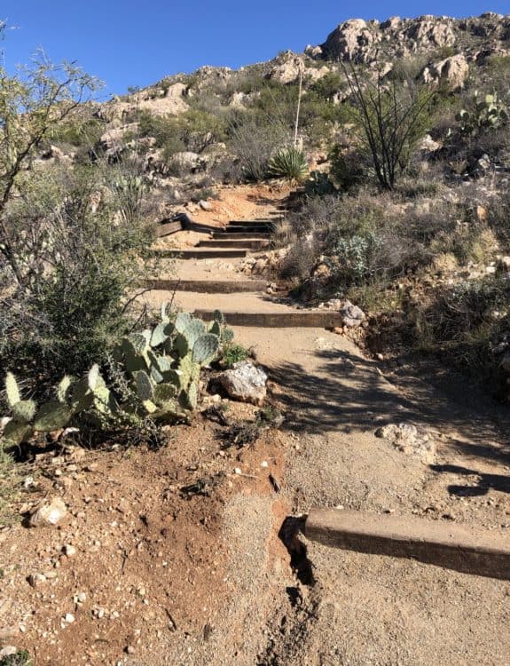steps hiking Catalina State Park | Catalina State Park: Hiking & Camping Guide
