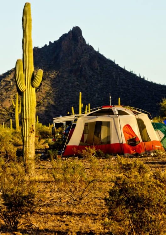 tent camping Picacho Peak State Park