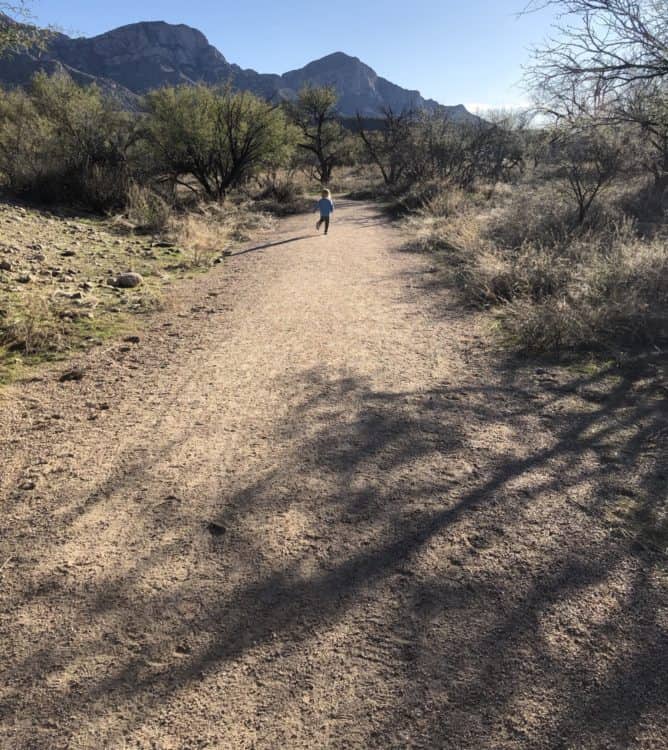 toddler hiking Catalina State Park | Catalina State Park: A Guide