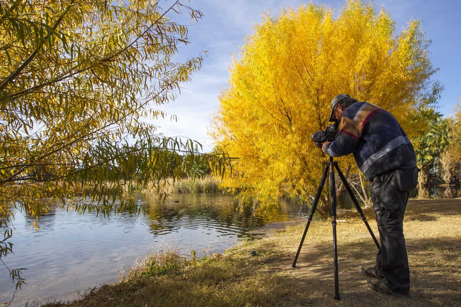 Bird-Watching-Photographer-Agua-Caliente-Park