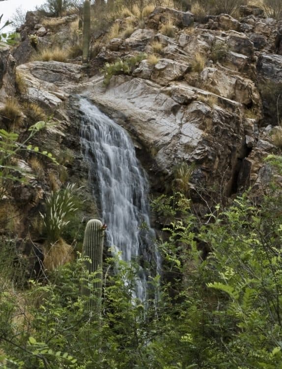 Loews Ventana Canyon Waterfall | Resort Report: Loews Ventana Canyon Resort