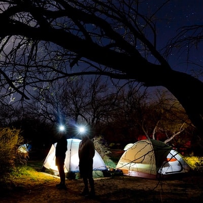 Catalina State Park Camping Newsletter