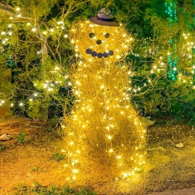 lights snowman newsletter